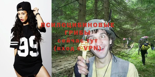 ГАЛЛЮЦИНОГЕННЫЕ ГРИБЫ Балахна