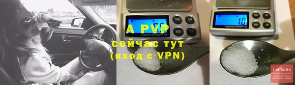 дживик Баксан
