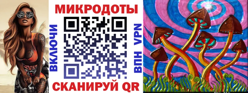 МЕГА ТОР  Узловая  Галлюциногенные грибы Psilocybe 