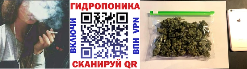Шишки марихуана сатива  мориарти какой сайт  Узловая 